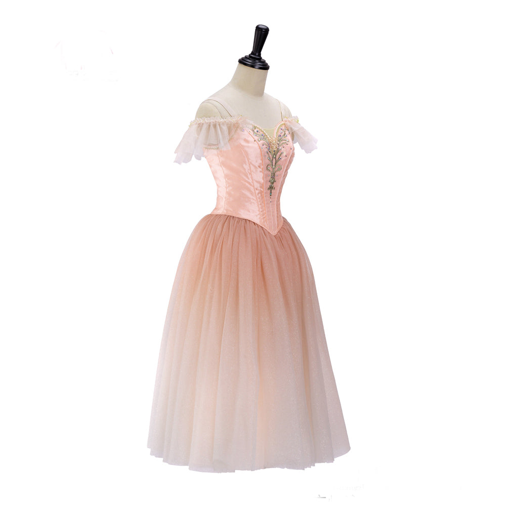 New Romantic Waltz Professional Ballet Dresses