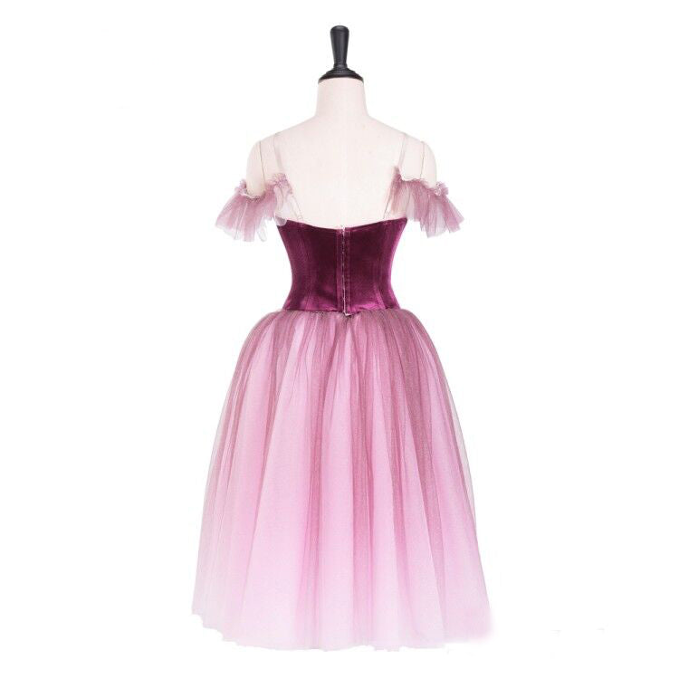 Romantic Wine Rose Petal Professional Tutu Dress