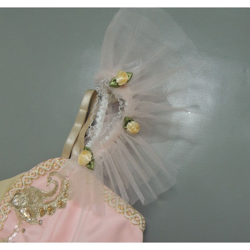 Awakening of Flora Professional Ballet Dresses