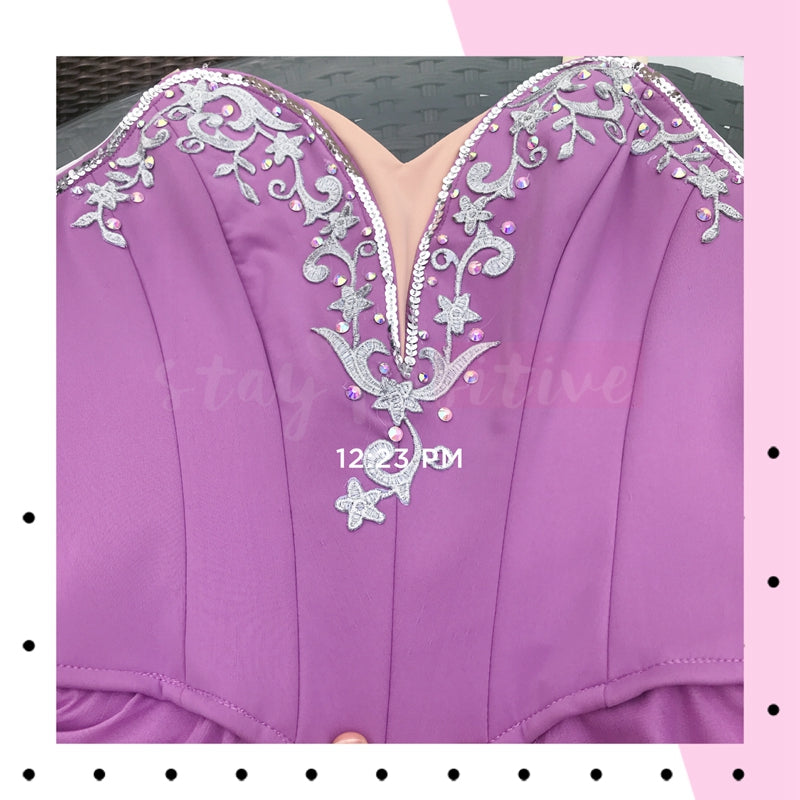 Romantic Fairy Professional Ballet Dresses - Choose Color