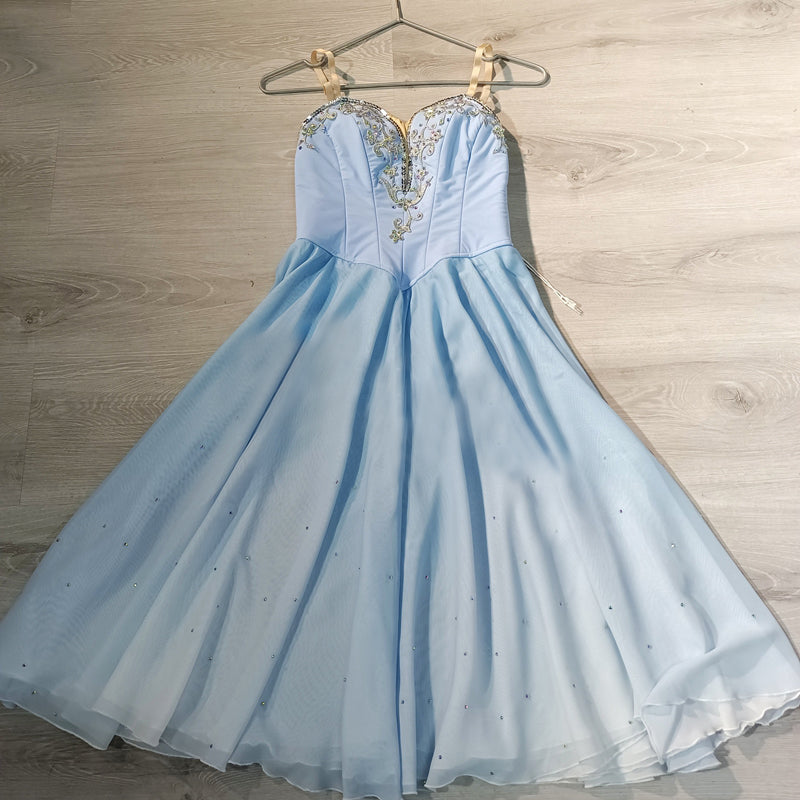Romantic Fairy Professional Ballet Dresses - Choose Color