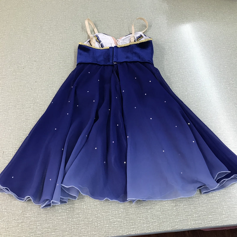 Romantic Fairy Professional Ballet Dresses - Choose Color