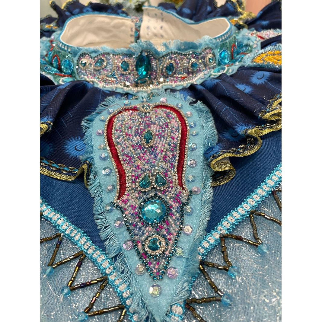 Professional Premium Handmade Odalisque Tutu