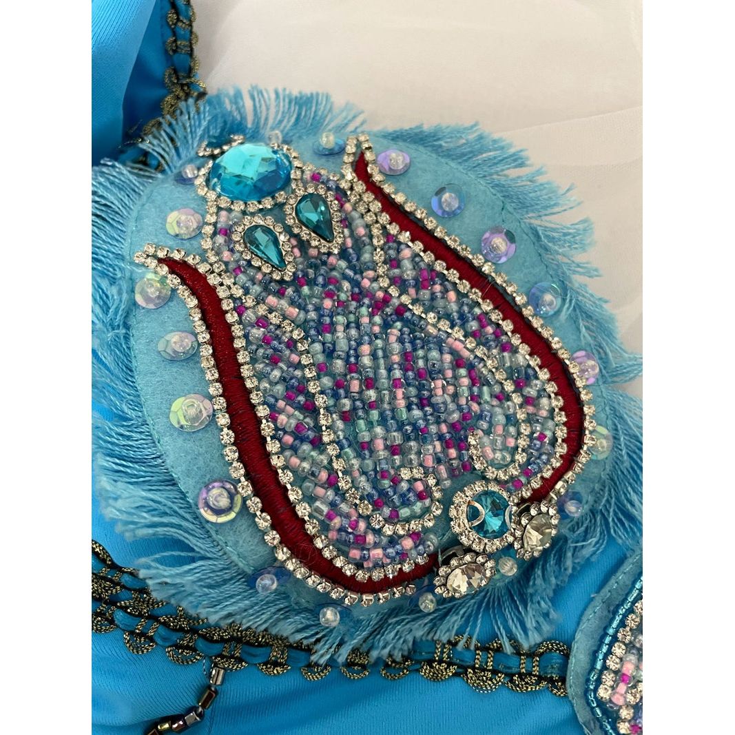 Professional Premium Handmade Odalisque Tutu