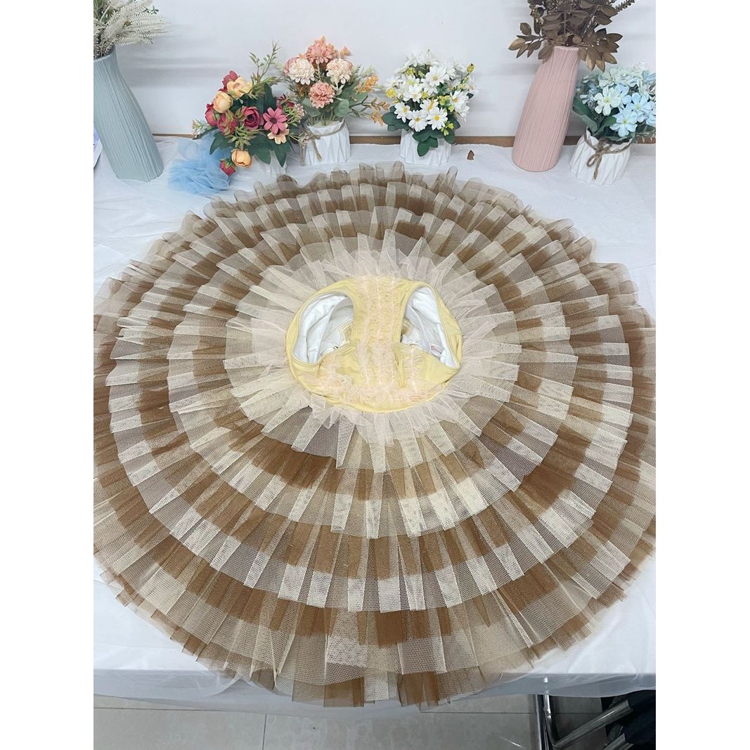 Romantic NEW Designs 2024 Professional Pancake Tutus