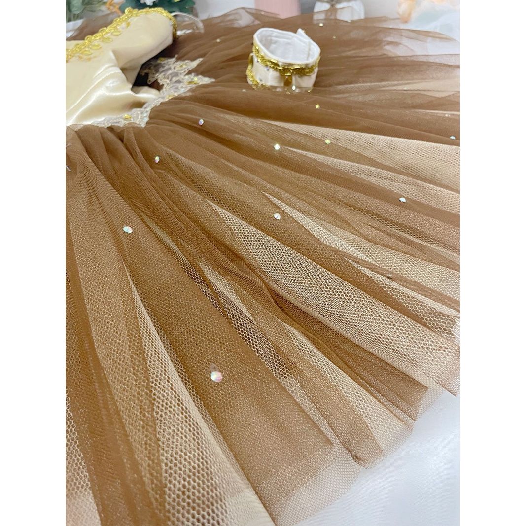 Romantic NEW Designs 2024 Professional Pancake Tutus