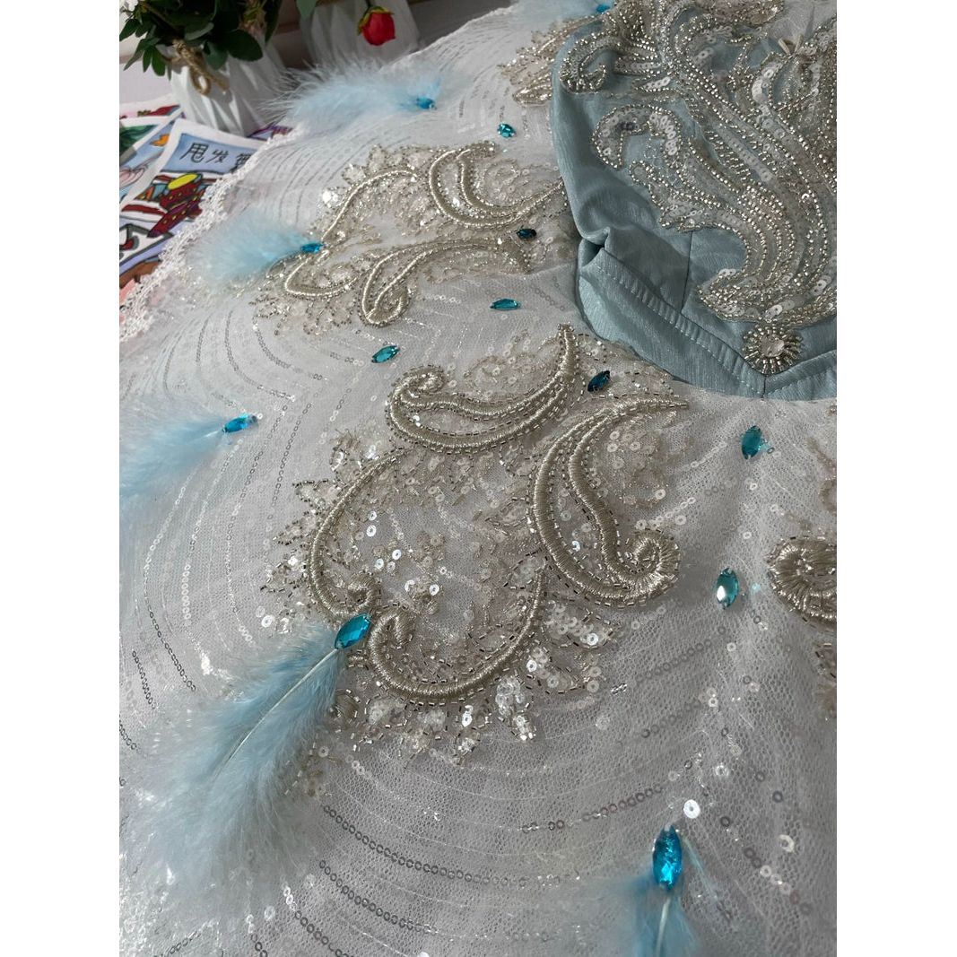 Romantic NEW Designs 2024 Professional Pancake Tutus