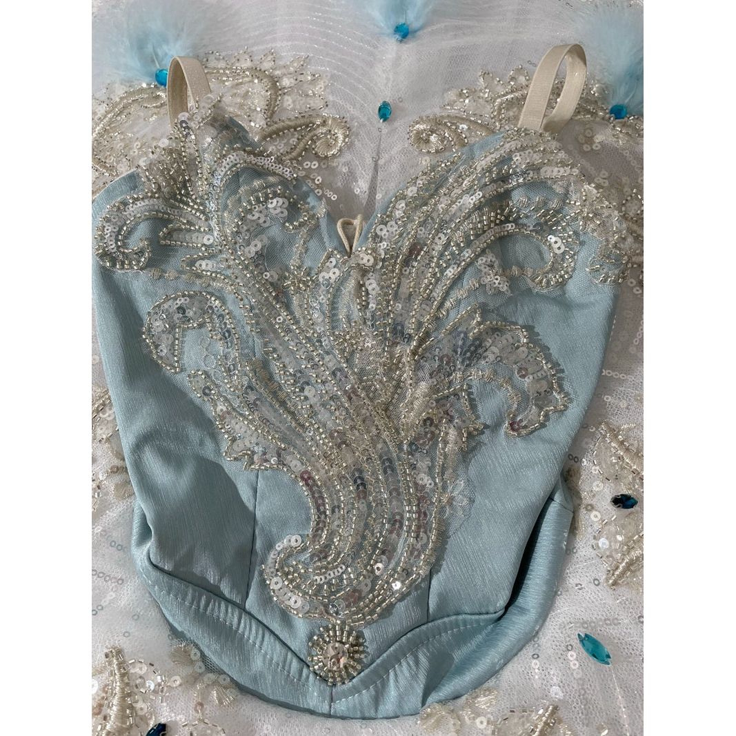 Romantic NEW Designs 2024 Professional Pancake Tutus