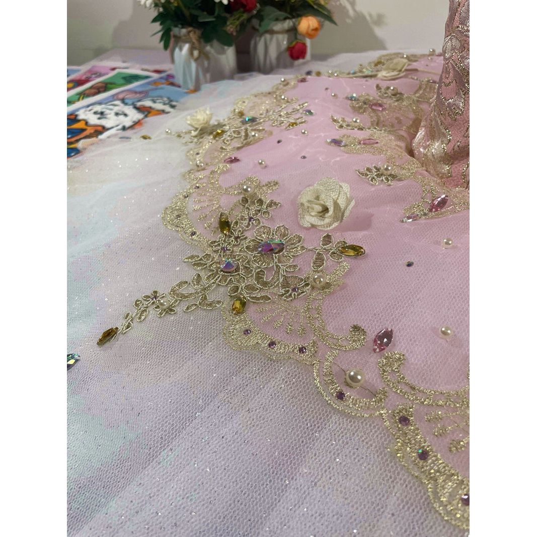 Romantic NEW Designs 2024 Professional Pancake Tutus
