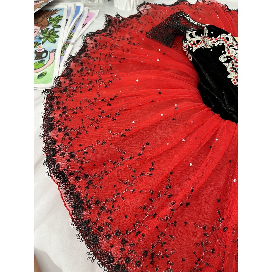 Romantic NEW Designs 2024 Professional Pancake Tutus