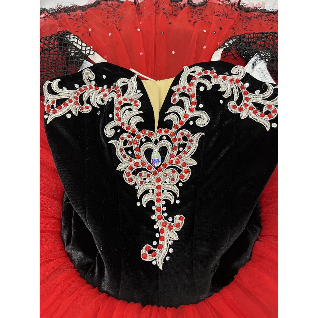 Romantic NEW Designs 2024 Professional Pancake Tutus