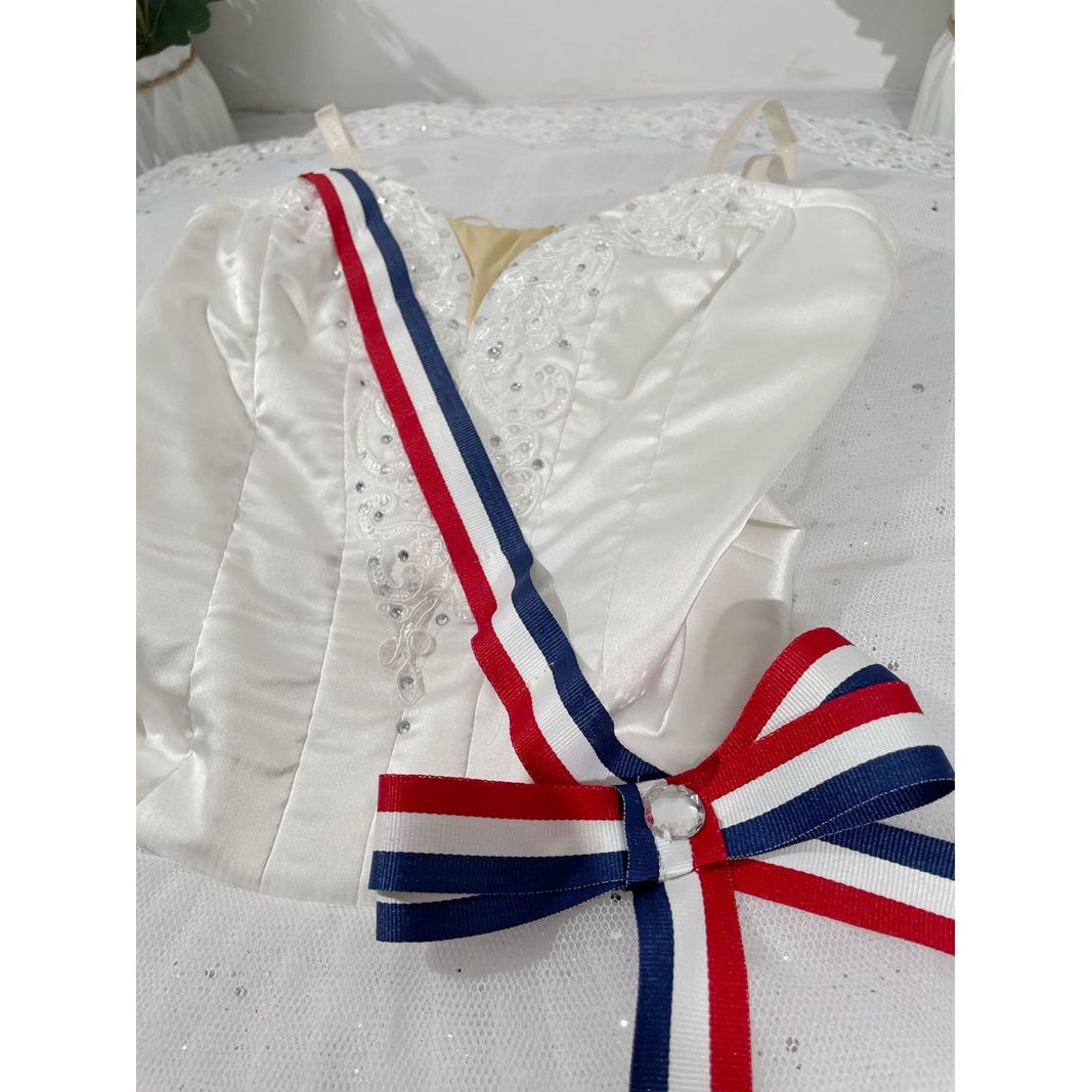 Romantic NEW Designs 2024 Professional Pancake Tutus