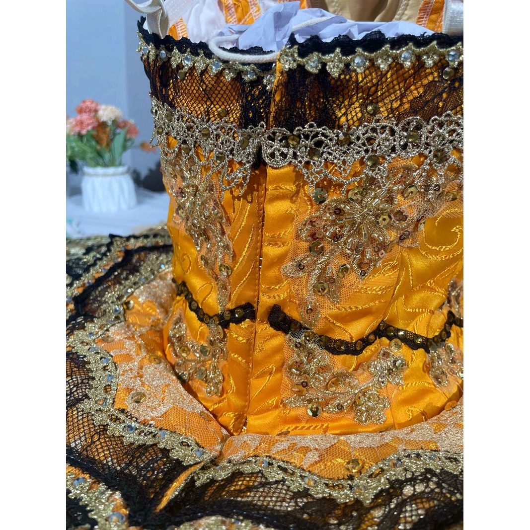 Unique NEW Designs 2024 Professional Tutus