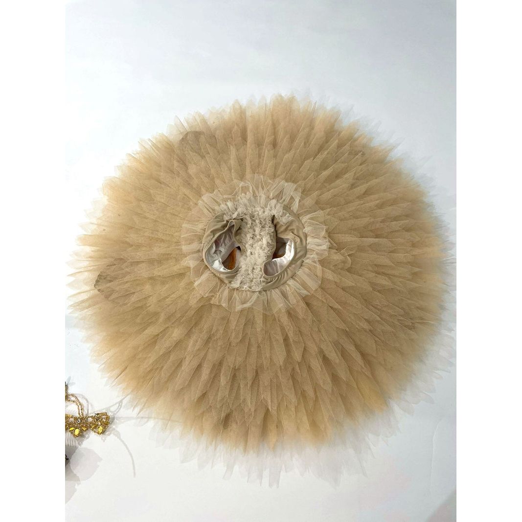Unique NEW Designs 2024 Professional Tutu-Royal Red