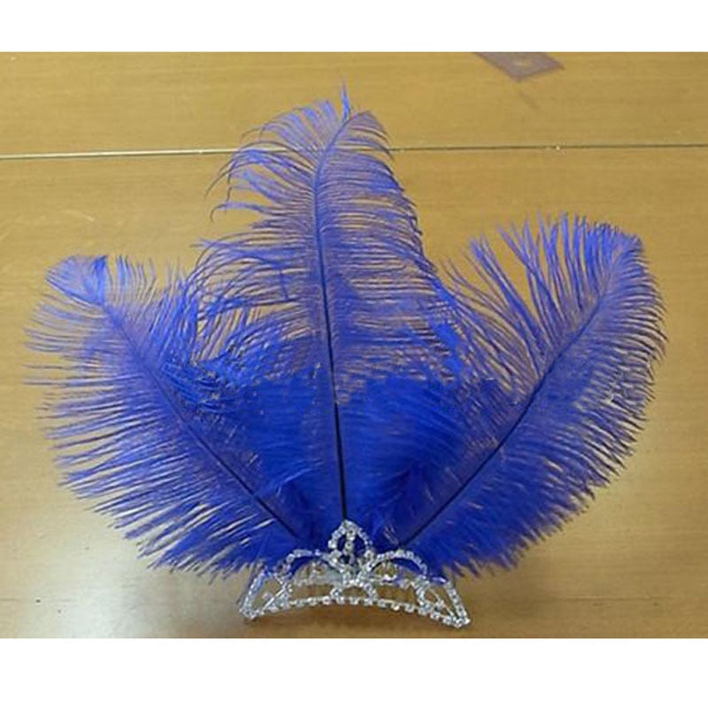 Custom Made Ballet Blue Feather Blue Bird Head Piece