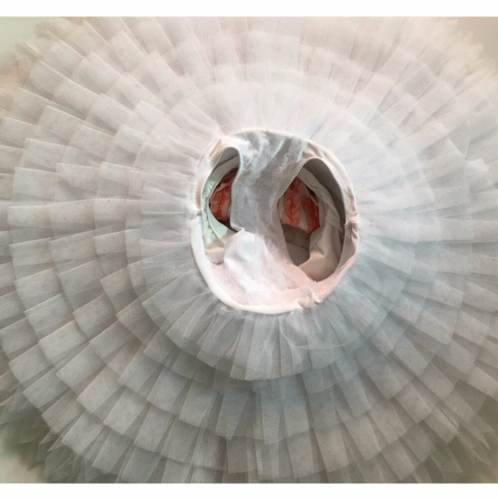 Professional Ballet Variation Tutu