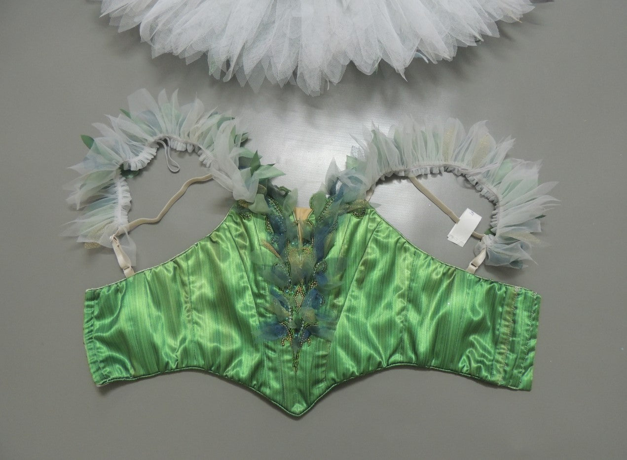 Tinker Bell Fairy Professional Tutu with Wing