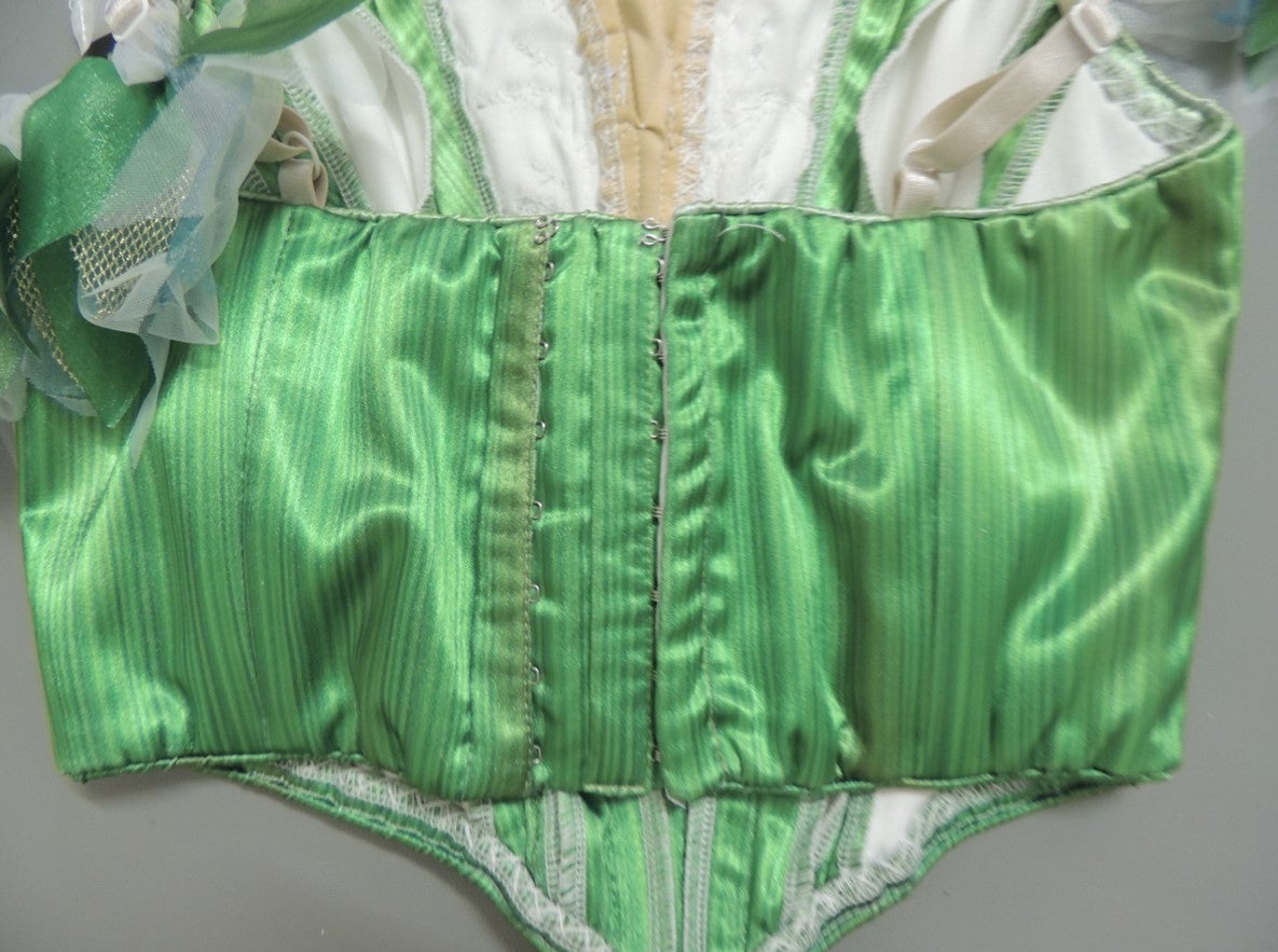 Tinker Bell Fairy Professional Tutu with Wing