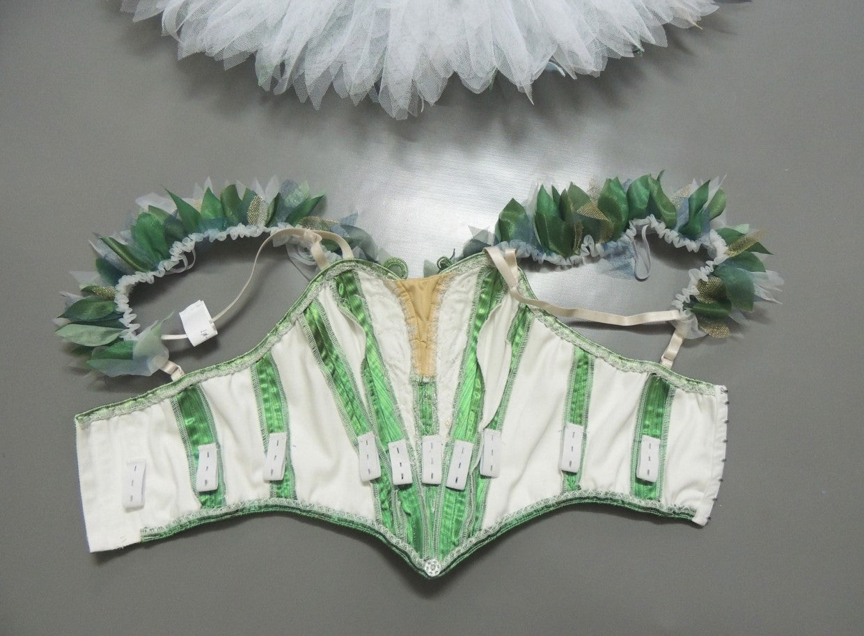 Tinker Bell Fairy Professional Tutu with Wing