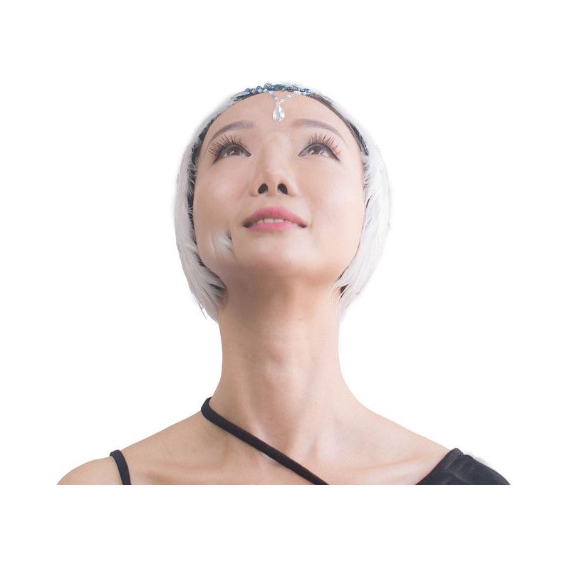 La Bayadere Headpiece And Sleeves