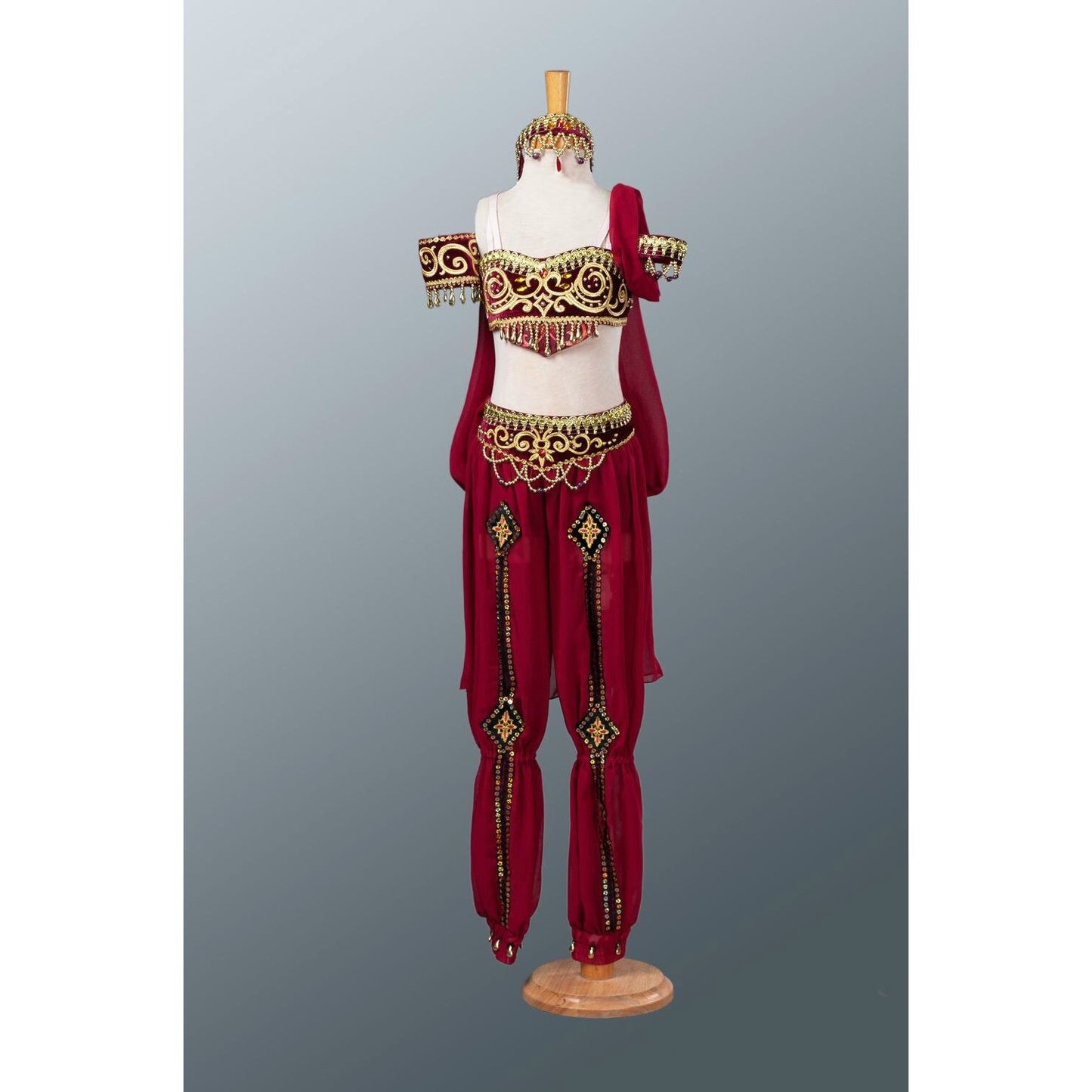 Gamzatti/ Odalisque/ Indian/ Arabian Ballet Costume - Add Sleeves or Skirt