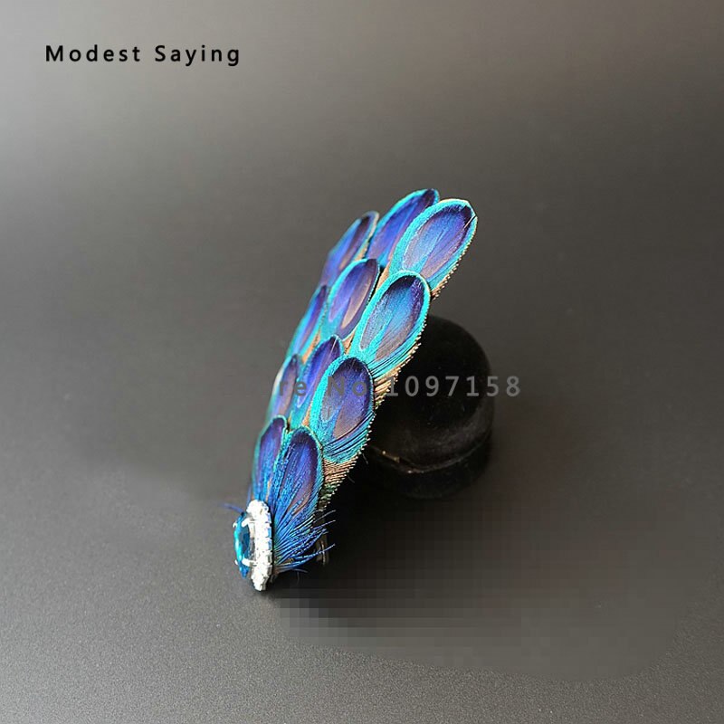 Ballet Feather Clip Headpiece