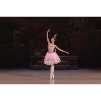 Awakening of Flora Simple Ballet Dress