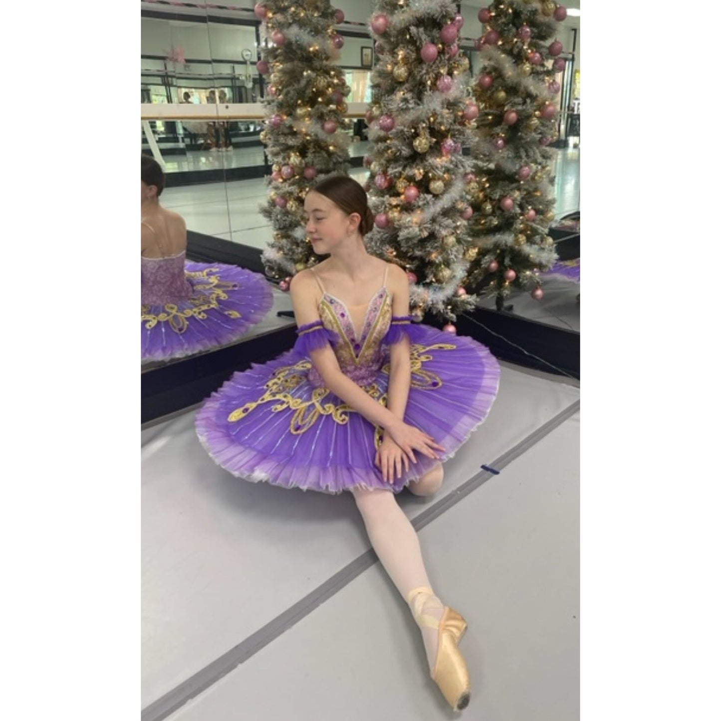 Performance Oriental odalisque La Bayadere Pancake Tutu