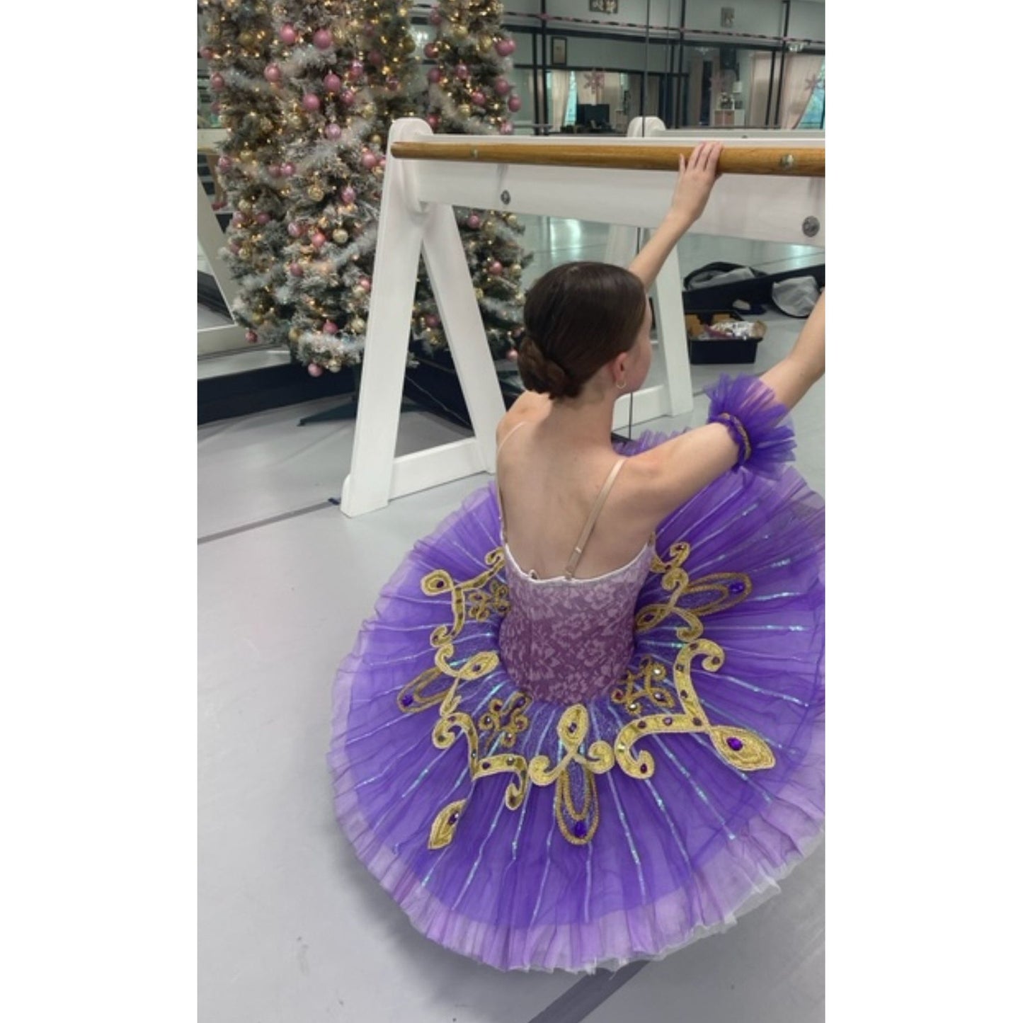 Performance Oriental odalisque La Bayadere Pancake Tutu
