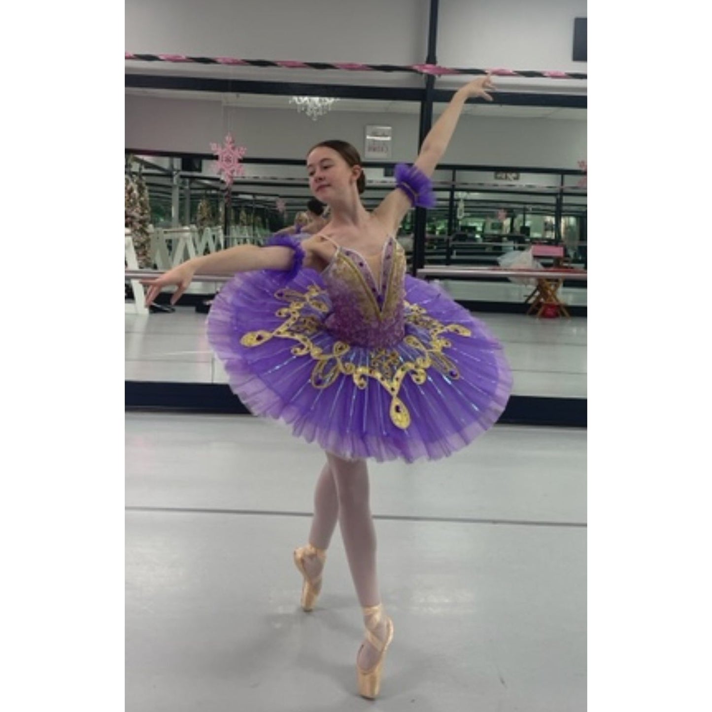 Performance Oriental odalisque La Bayadere Pancake Tutu
