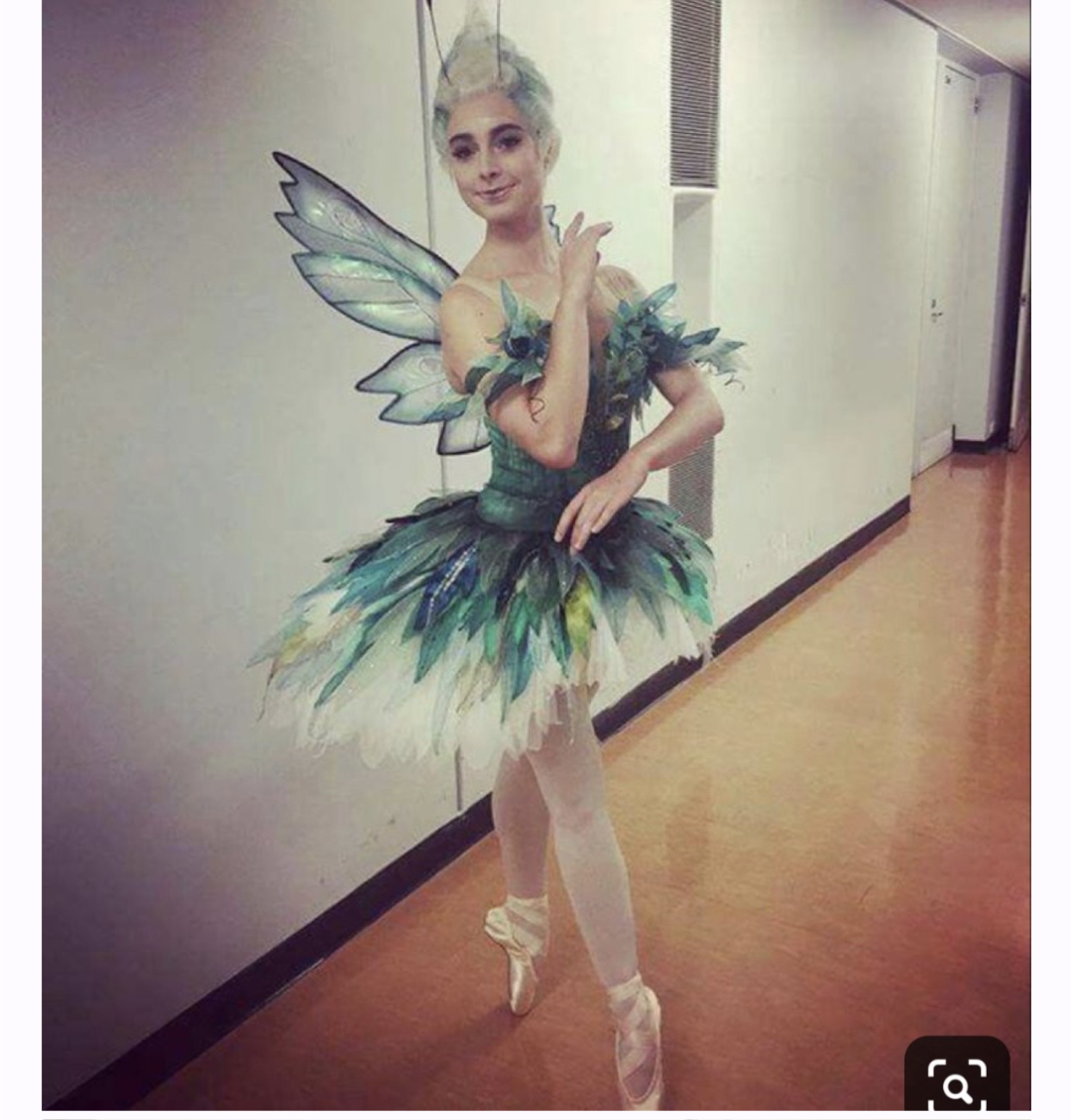 Tinker Bell Fairy Professional Tutu with Wing