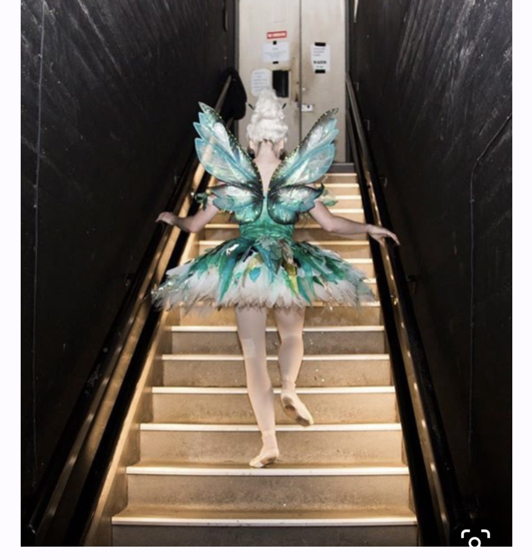 Tinker Bell Fairy Professional Tutu with Wing