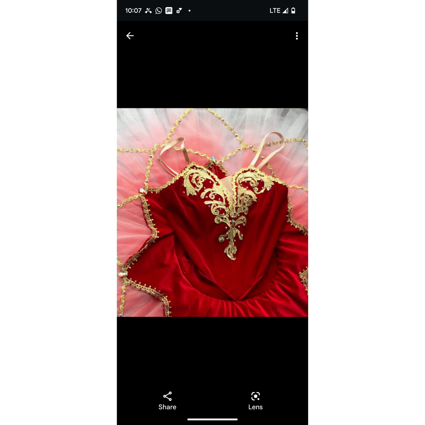 Perfect Rose or Red Premium Tutu