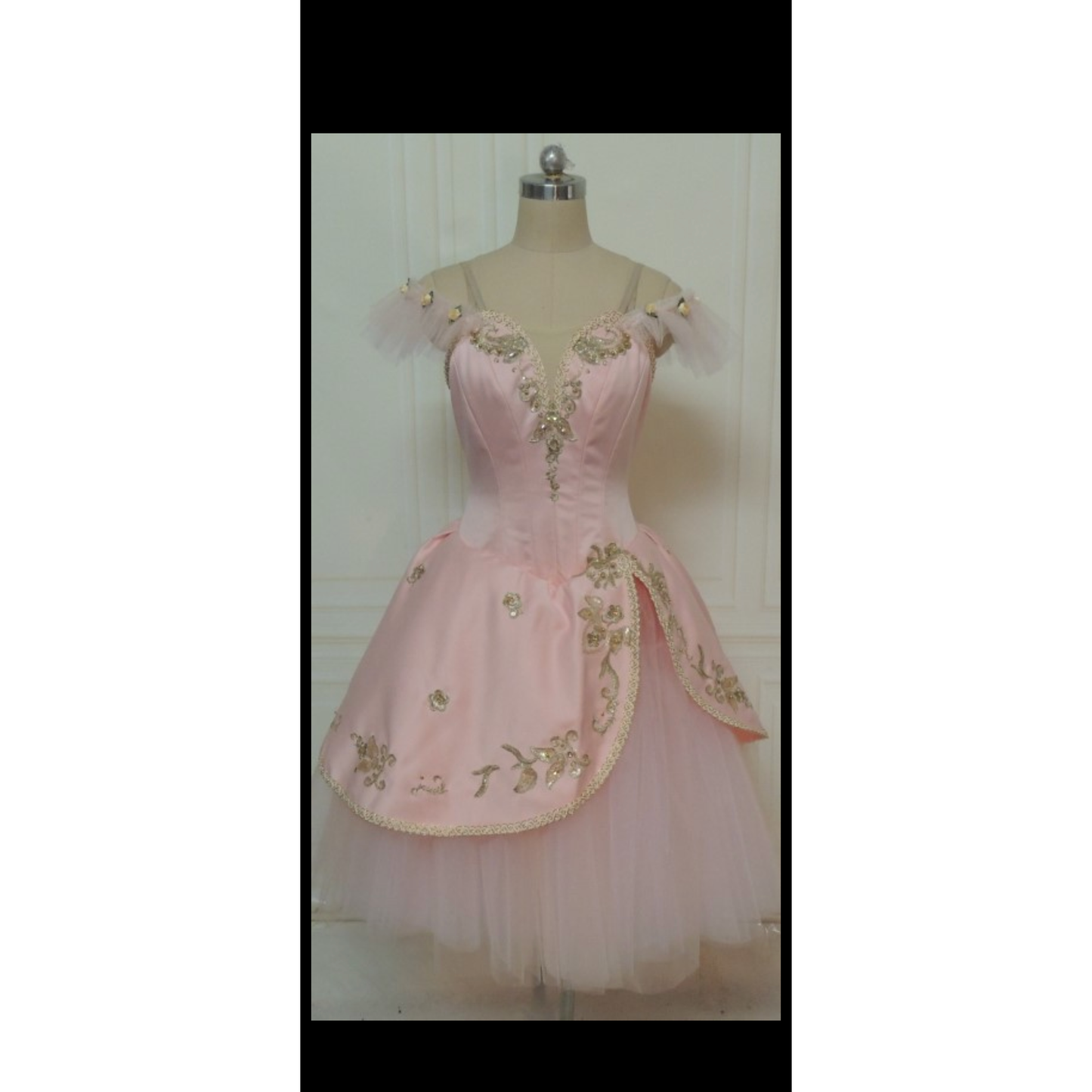 Awakening of Flora Professional Ballet Dresses
