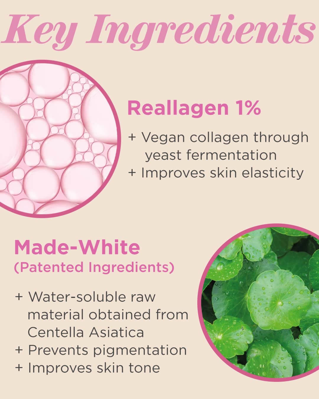 Vegan Again Radiance Contour Stick (Highlighter)