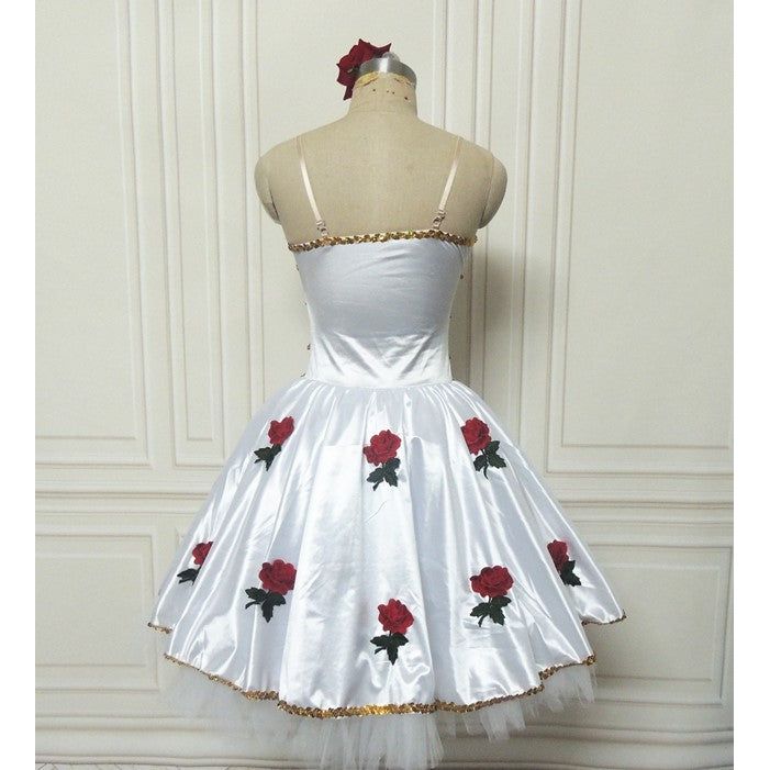 Awakening of Flora Simple Ballet Dress