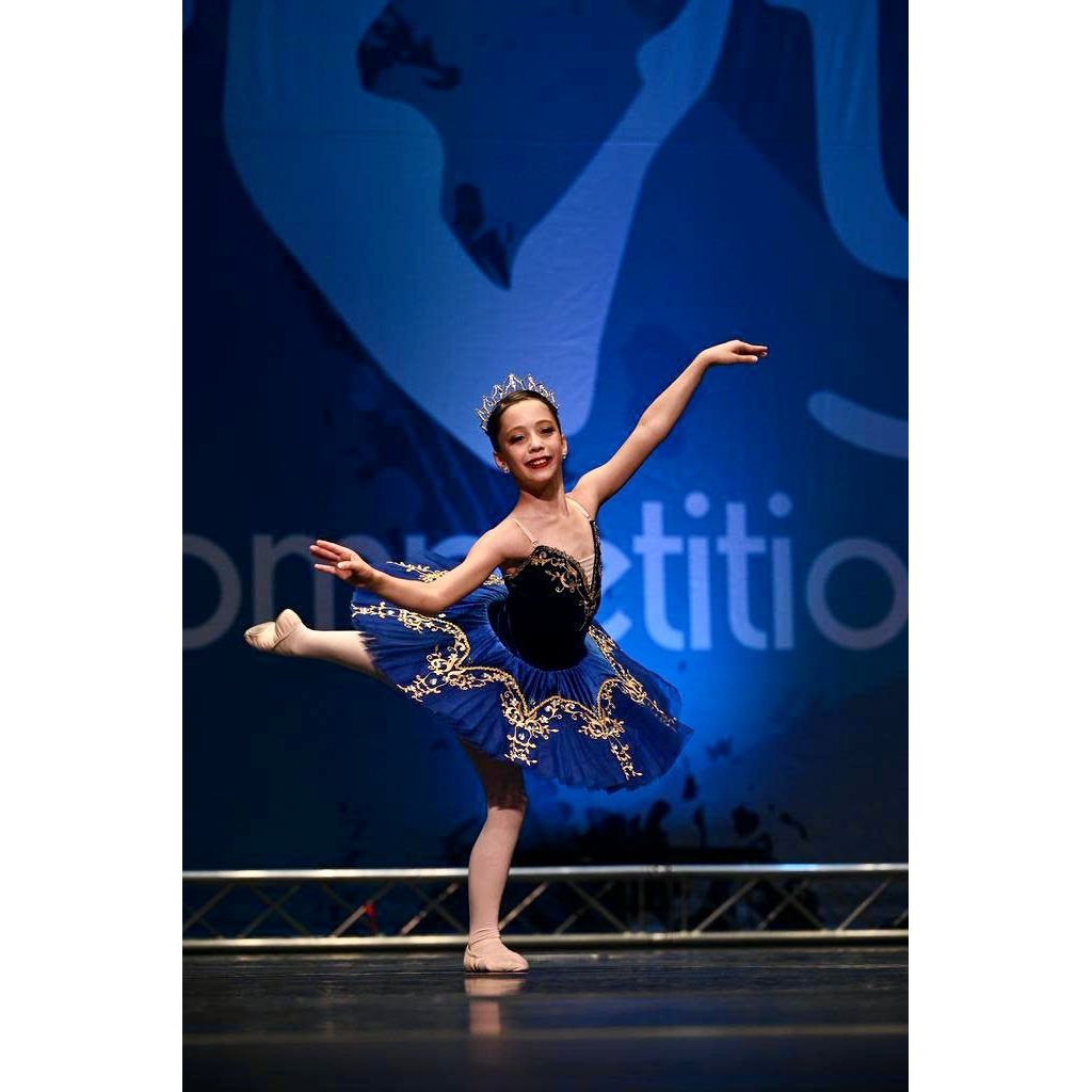 Royal Dark Blue Simple Pancake Tutu