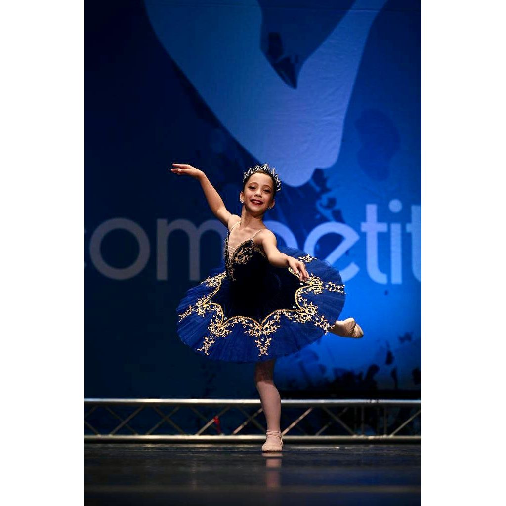 Royal Dark Blue Simple Pancake Tutu
