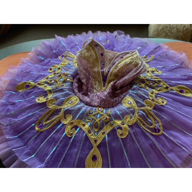 Performance Oriental odalisque La Bayadere Pancake Tutu