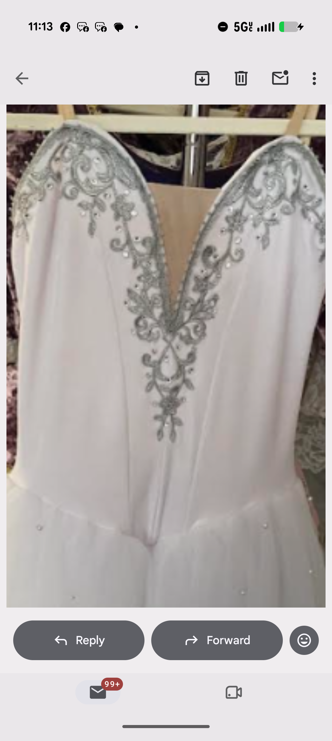 Custom Made Snow Land Dress (20pcs)