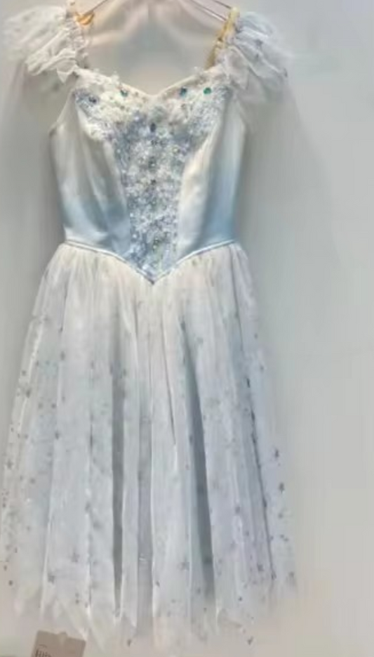 Custom Snow Land Professional Ballet Dress.