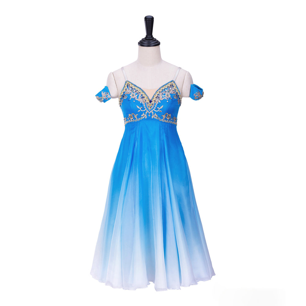 Professional Romantic Ballet Dress