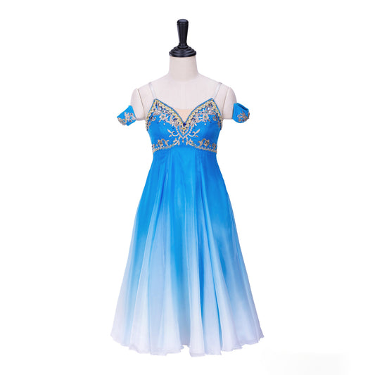 Professional Romantic Ballet Dress