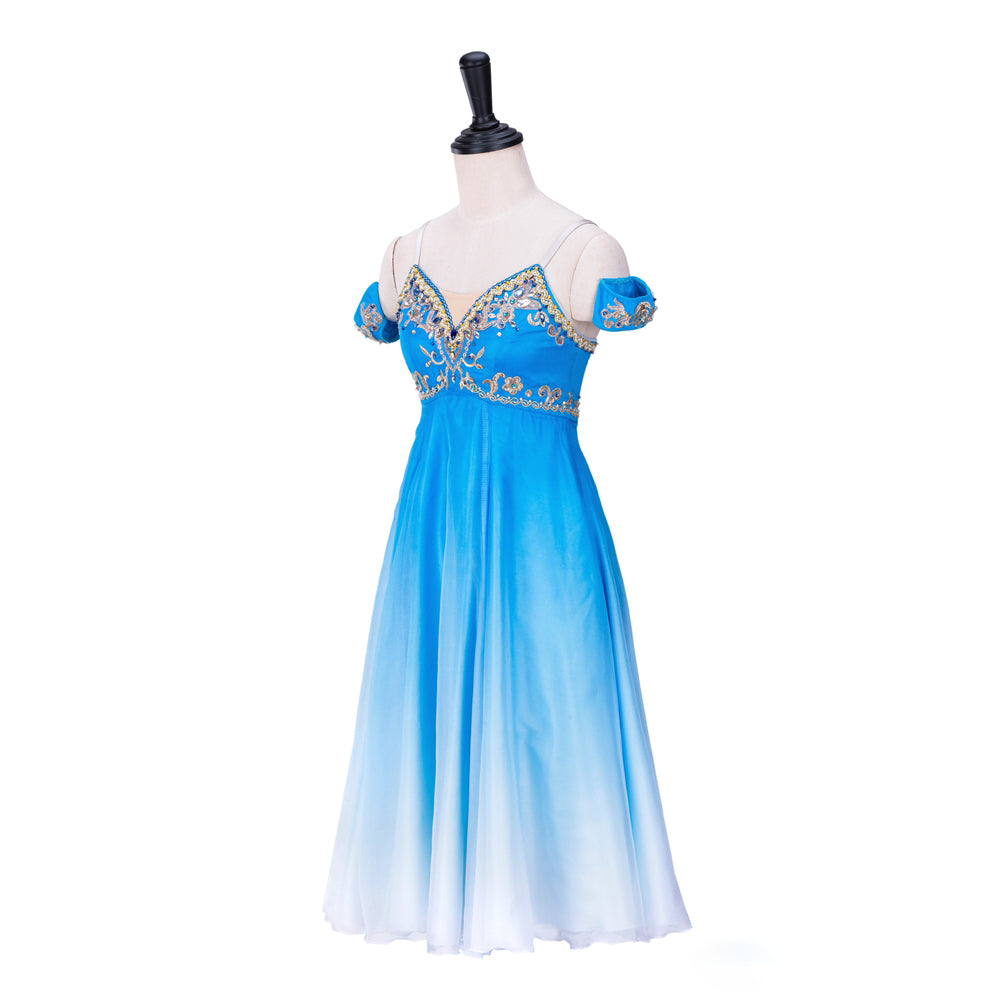 Professional Romantic Ballet Dress