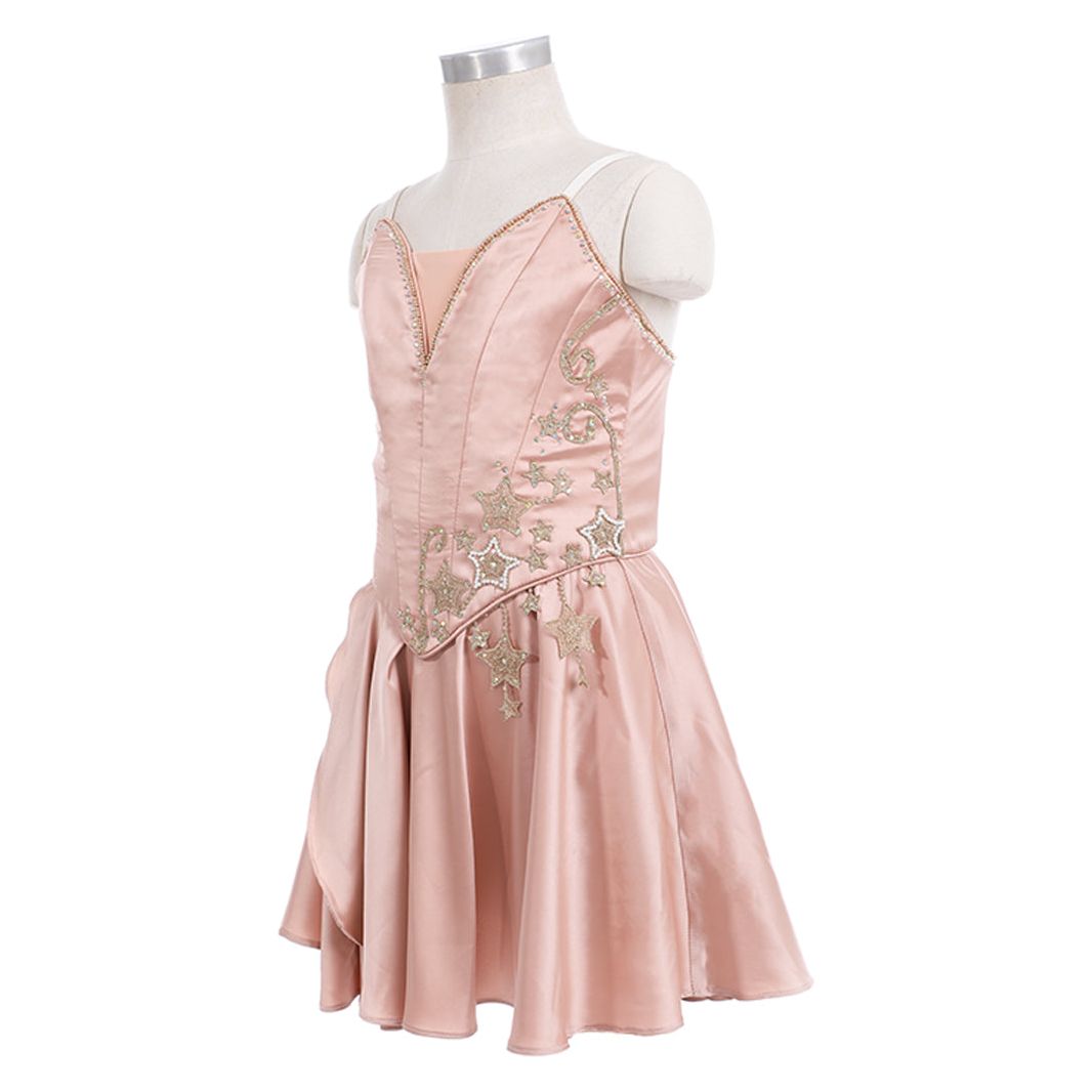 Lovely Professional Ballet Dress