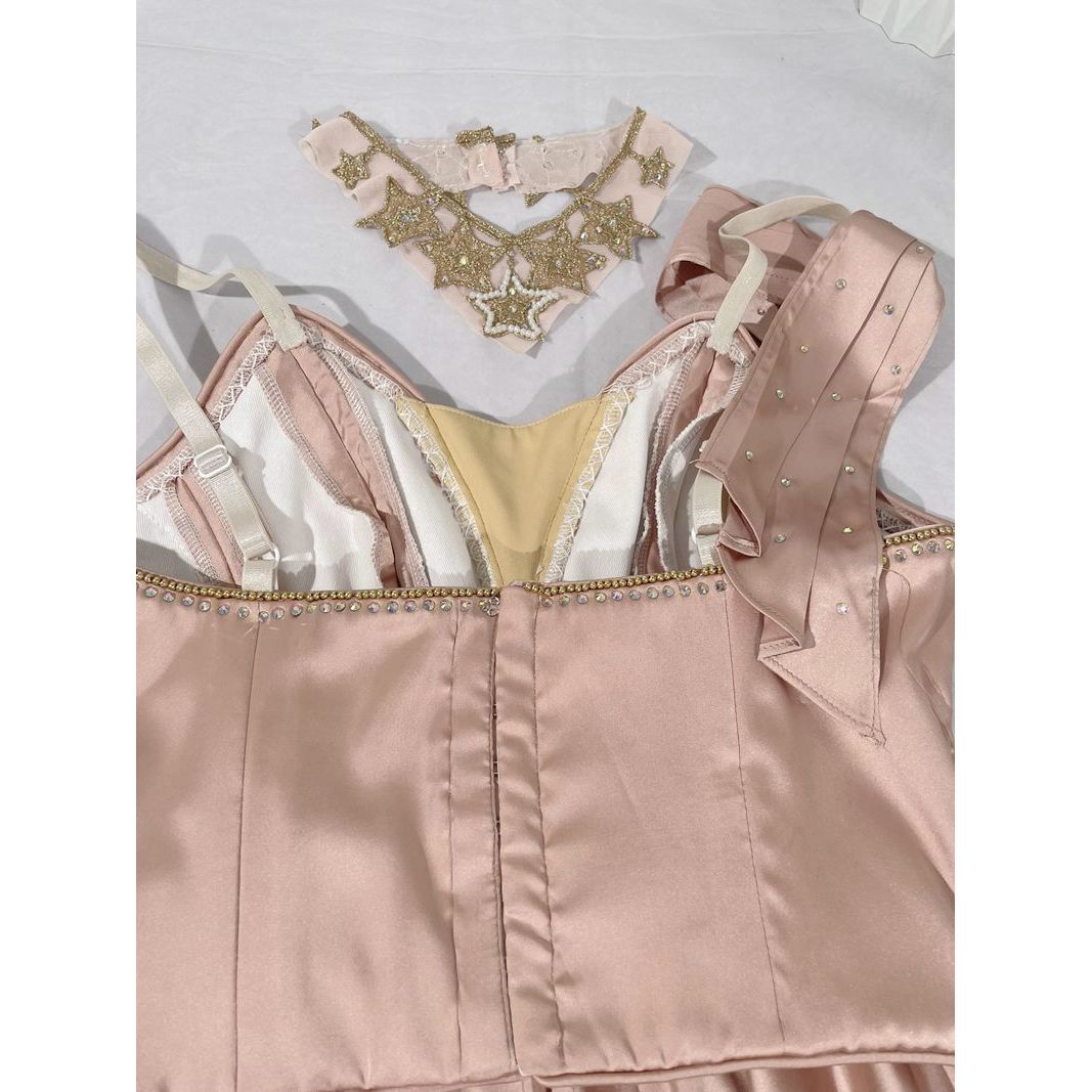 Lovely Professional Ballet Dress