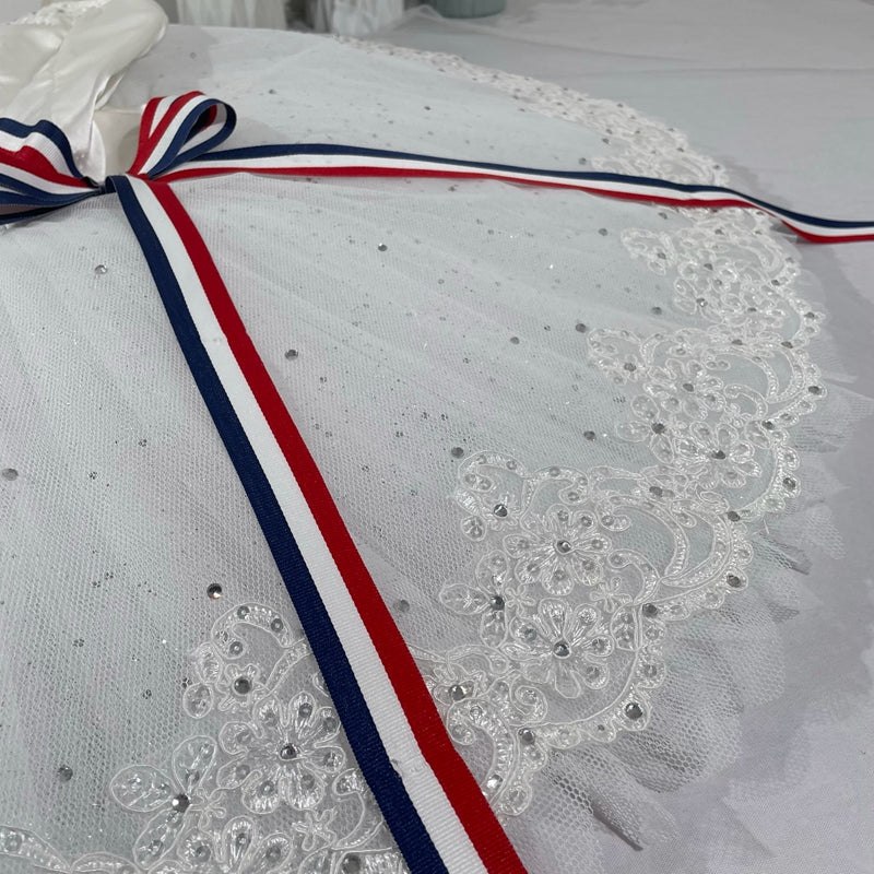 Romantic NEW Designs 2024 Professional Pancake Tutus