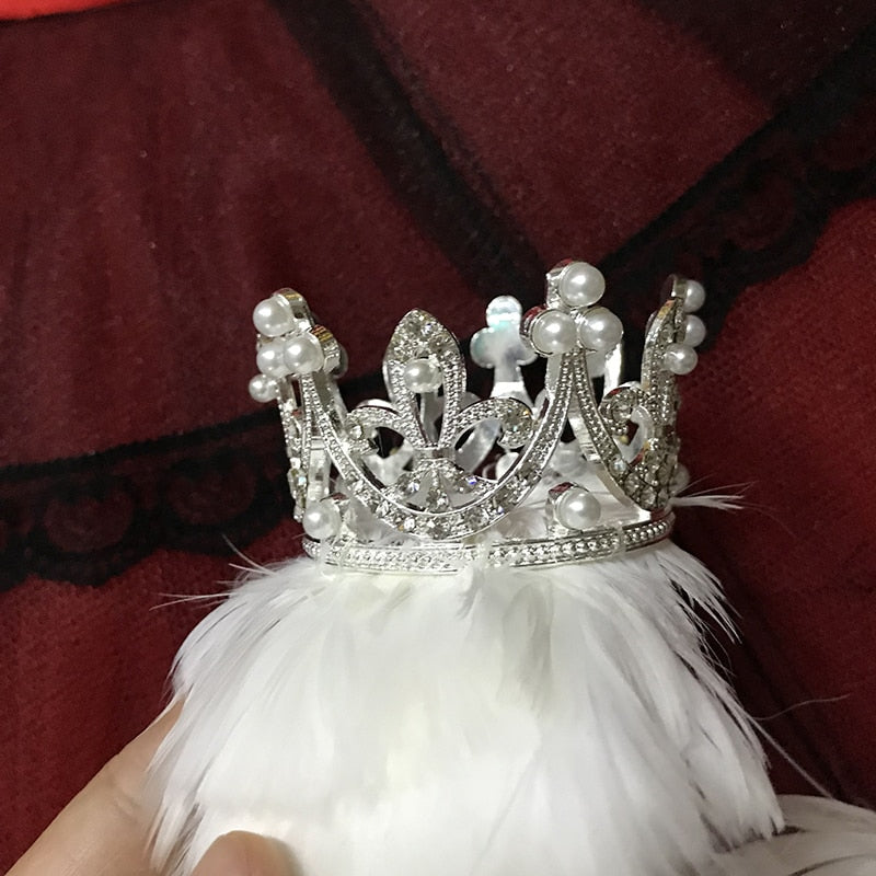 White and Black Swan Lake Ballet Headpiece