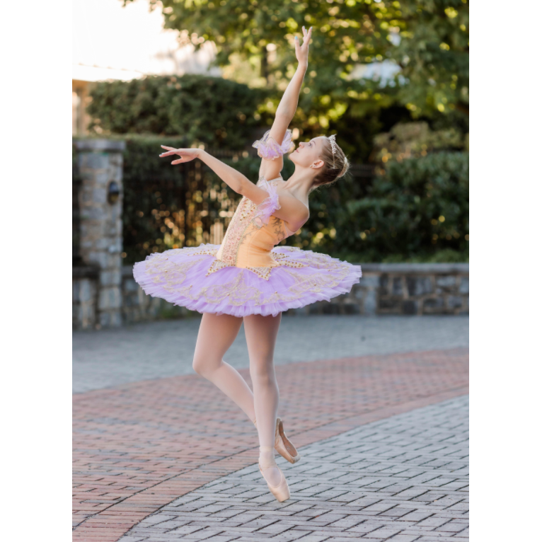 Golden Sugar Plum Fairy Pancake Tutu (Gold, Pink or Plum )