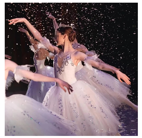 Classical Simple Blue And Silver Snow Flakes Tutu Dress